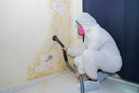 Best Post-Construction Mold Inspection  in Pompton Plains, NJ